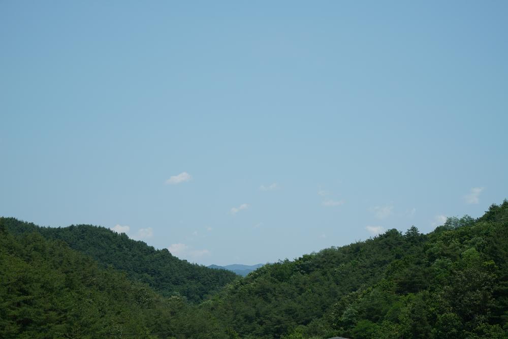 국립김천숲속야영장