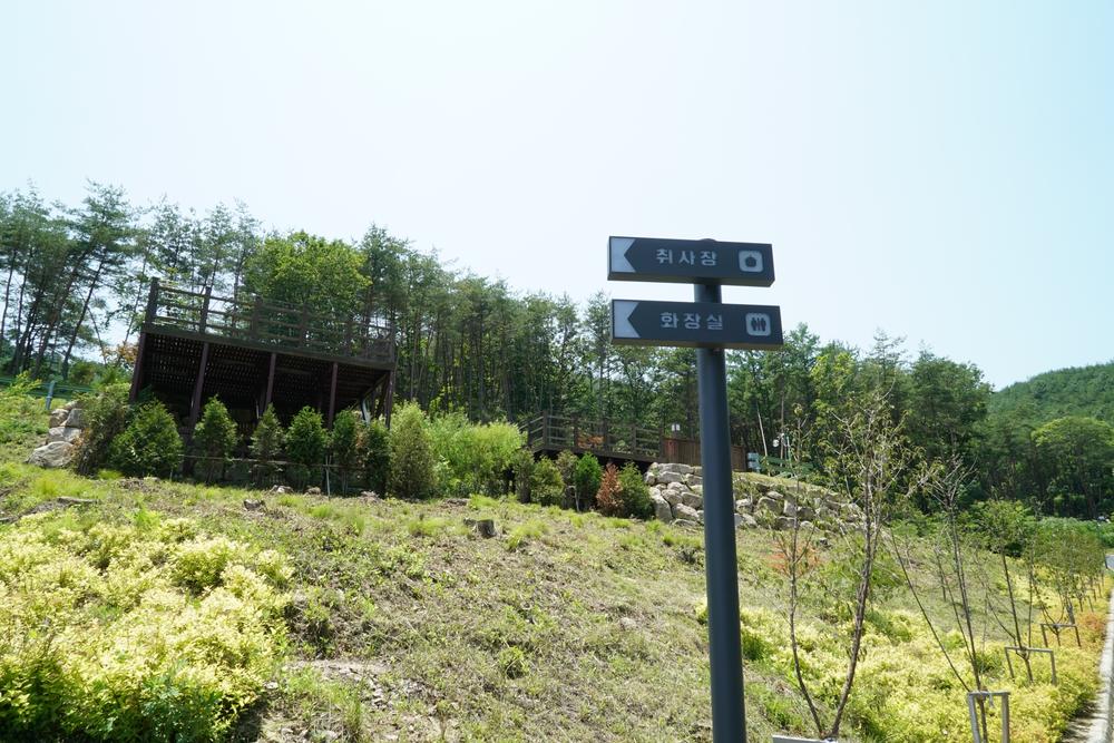 국립김천숲속야영장