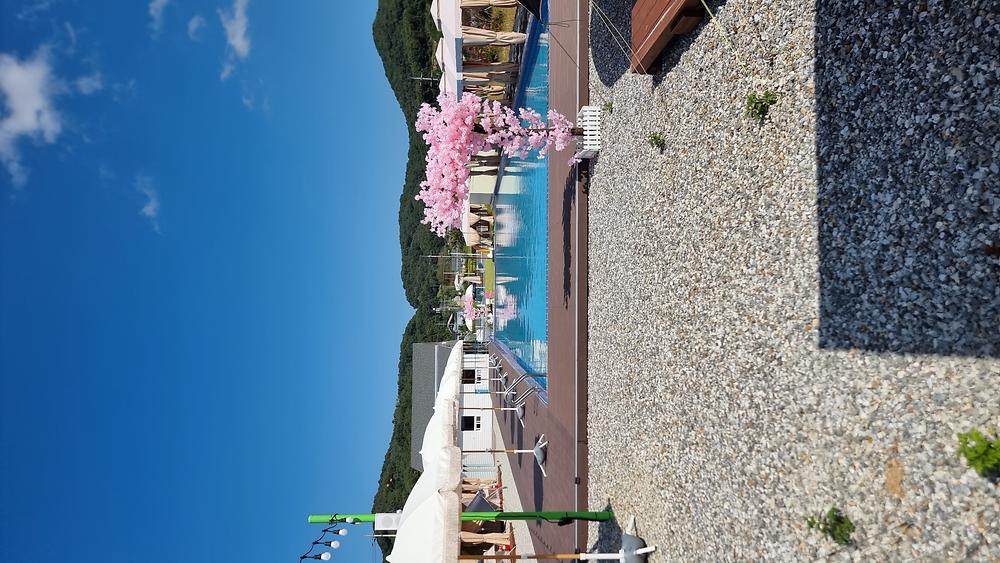 큰집 관광농원 감성 캠핑