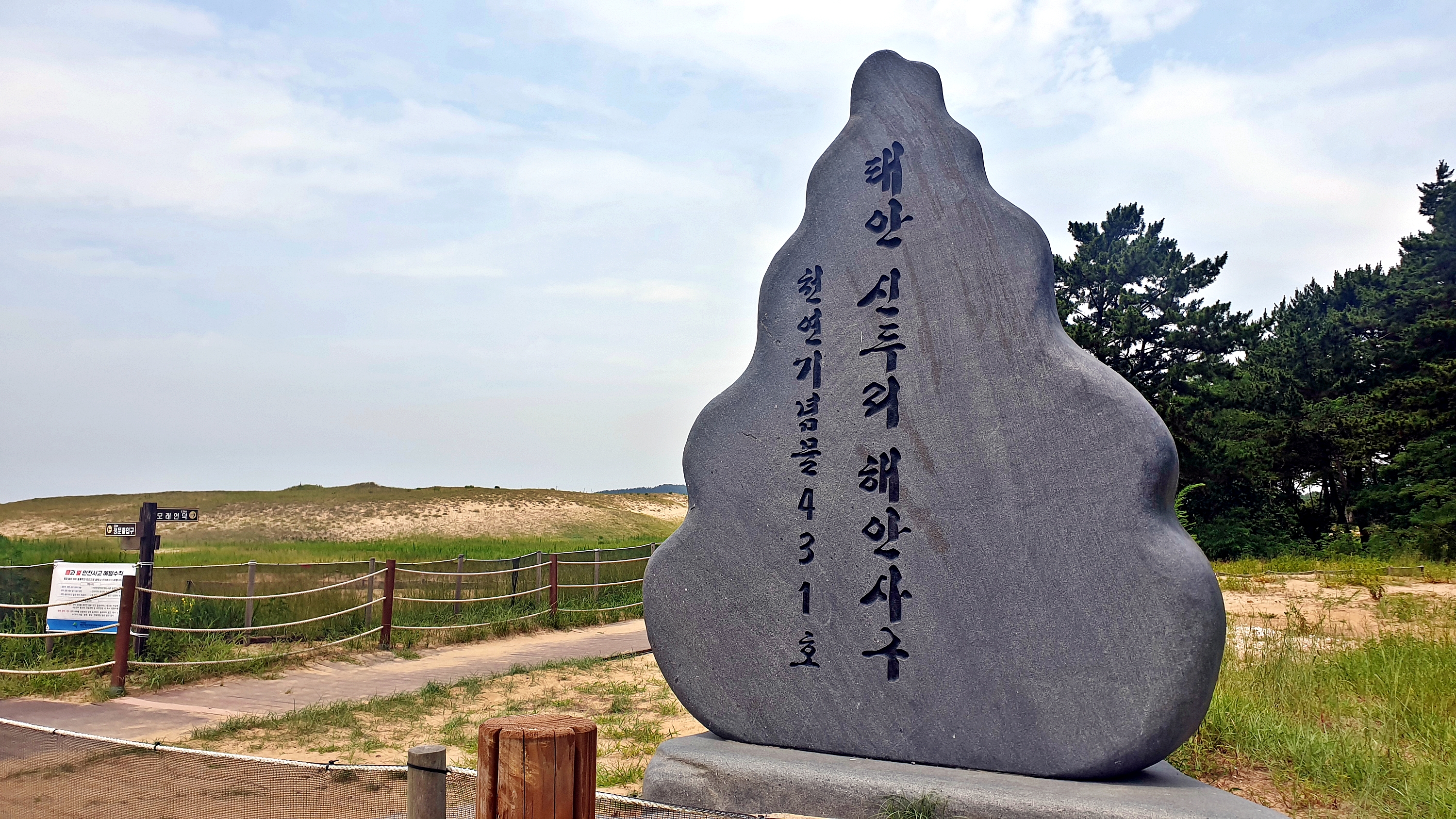 신두리 오렌지 캠핑장