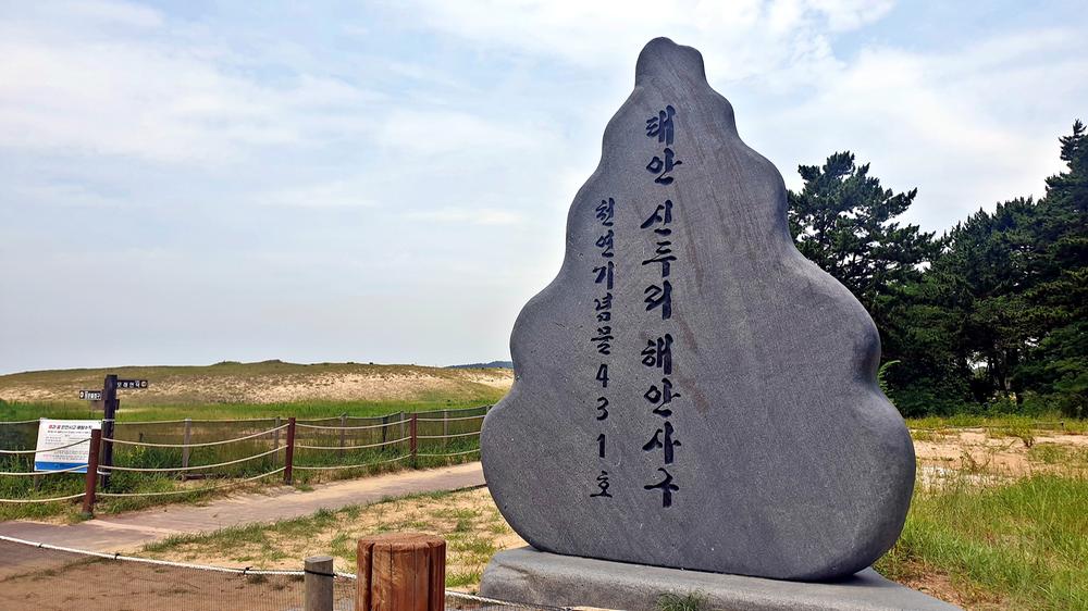 신두리 오렌지 캠핑장