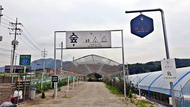 캠핑장소개 이미지