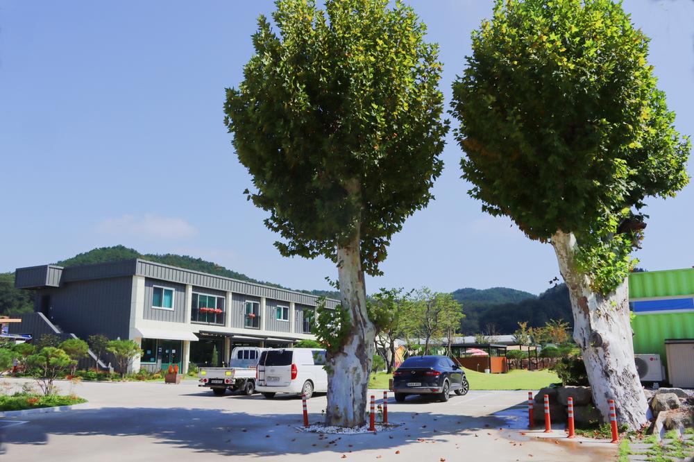 단밀오토캠핑장