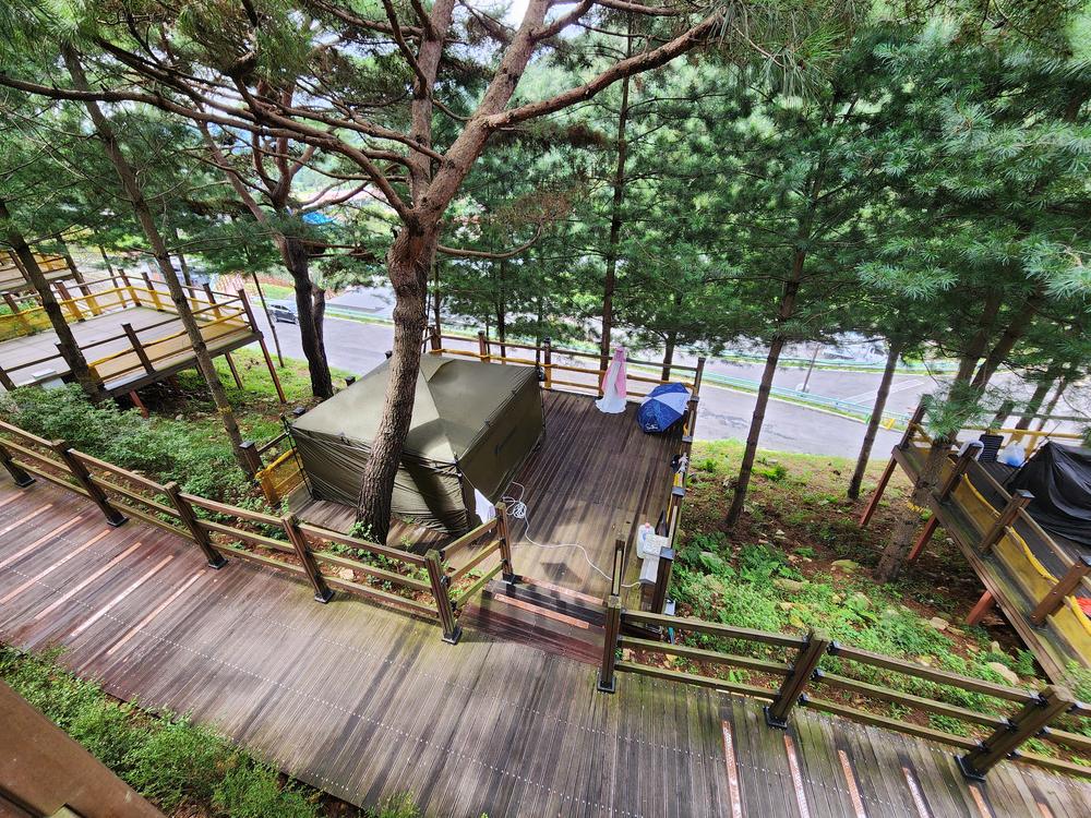 신암저수지 숲속야영장