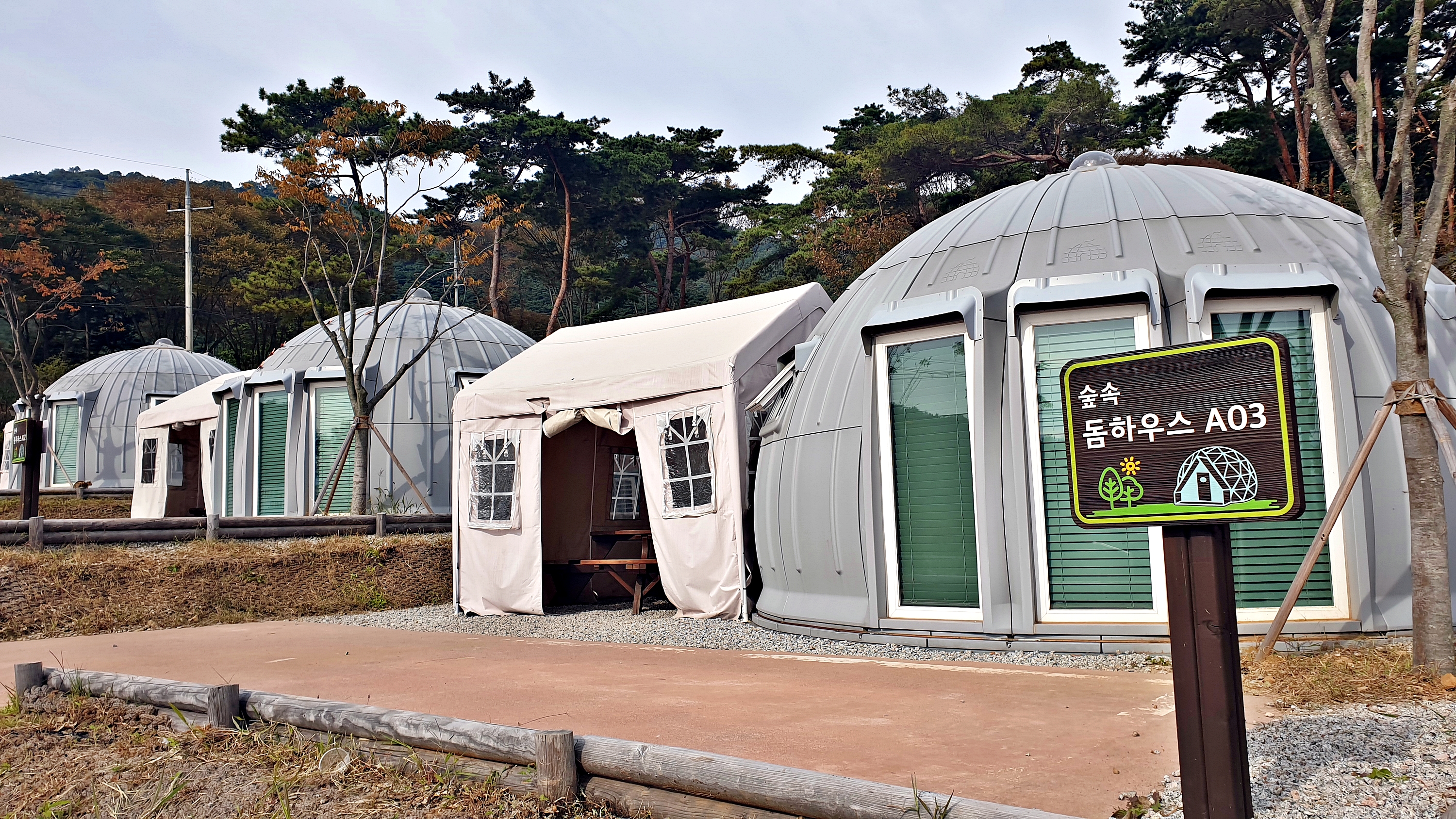 교룡공원 숲속야영장