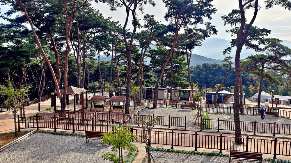 교룡공원 숲속야영장