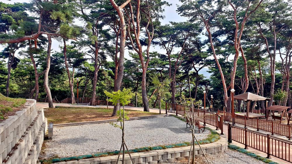 교룡공원 숲속야영장