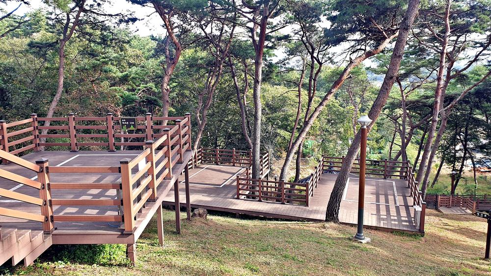 교룡공원 숲속야영장