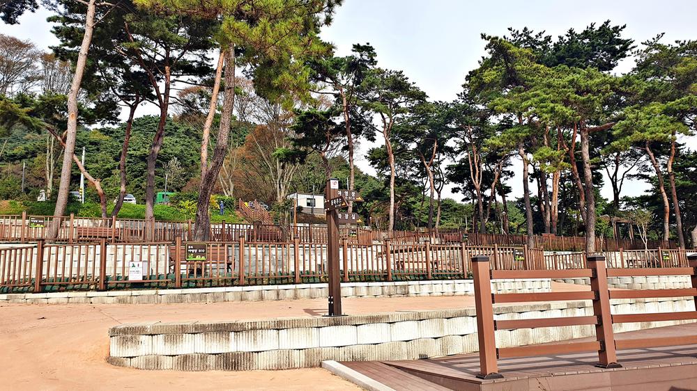 교룡공원 숲속야영장