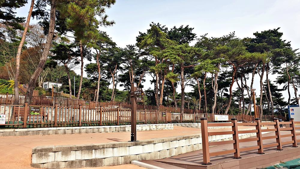 교룡공원 숲속야영장