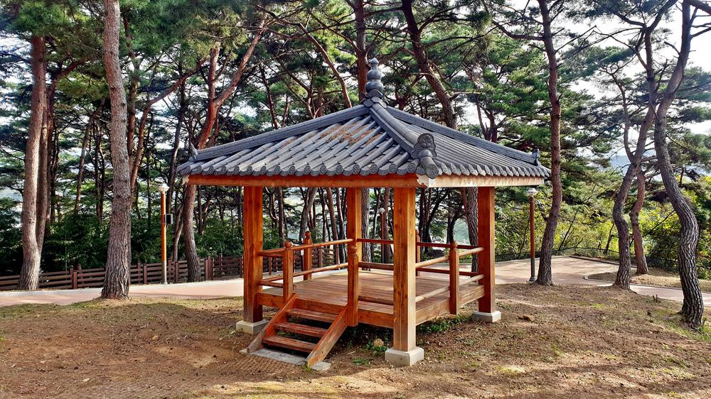 교룡공원 숲속야영장