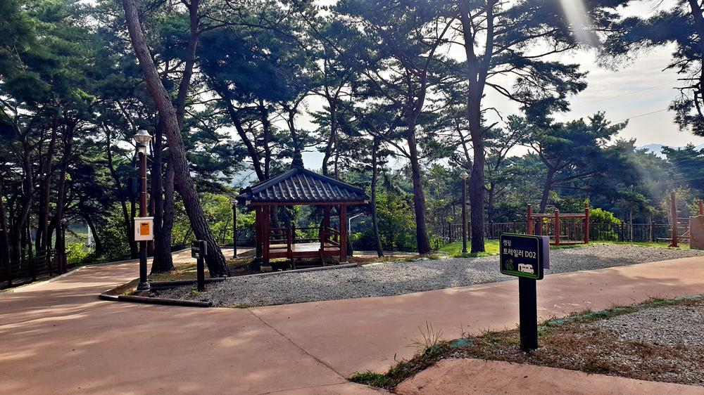 교룡공원 숲속야영장