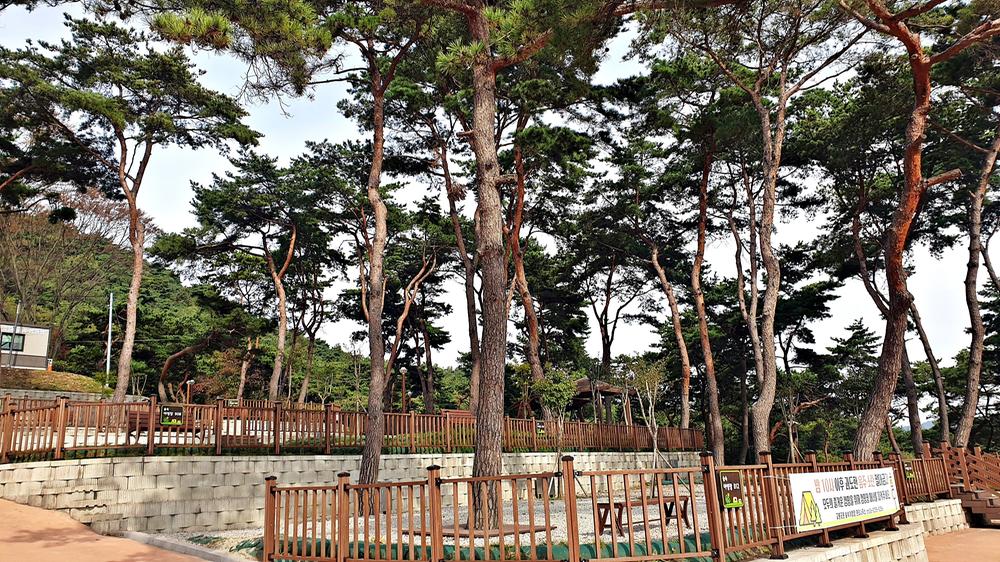 교룡공원 숲속야영장