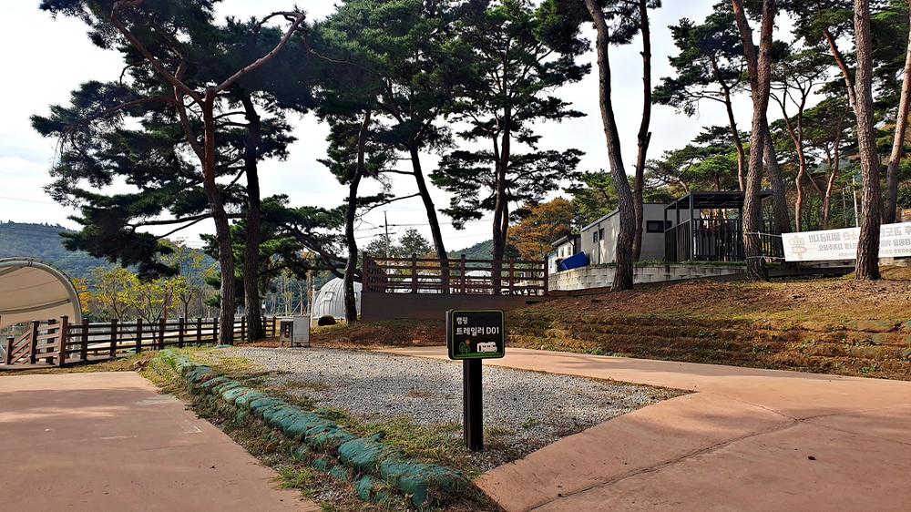 교룡공원 숲속야영장