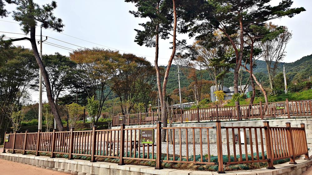 교룡공원 숲속야영장