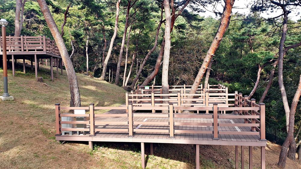 교룡공원 숲속야영장