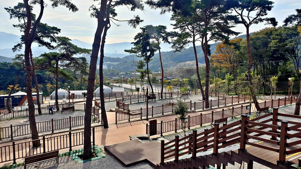 교룡공원 숲속야영장