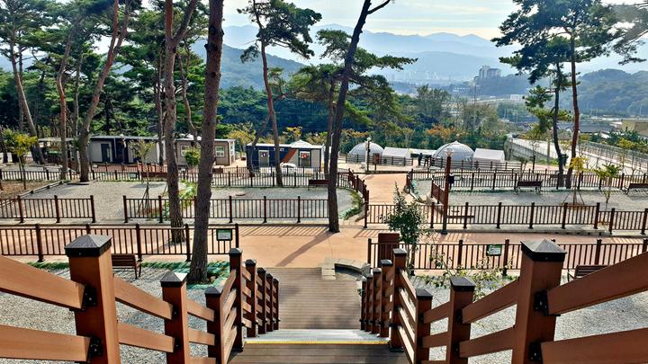 교룡공원 숲속야영장