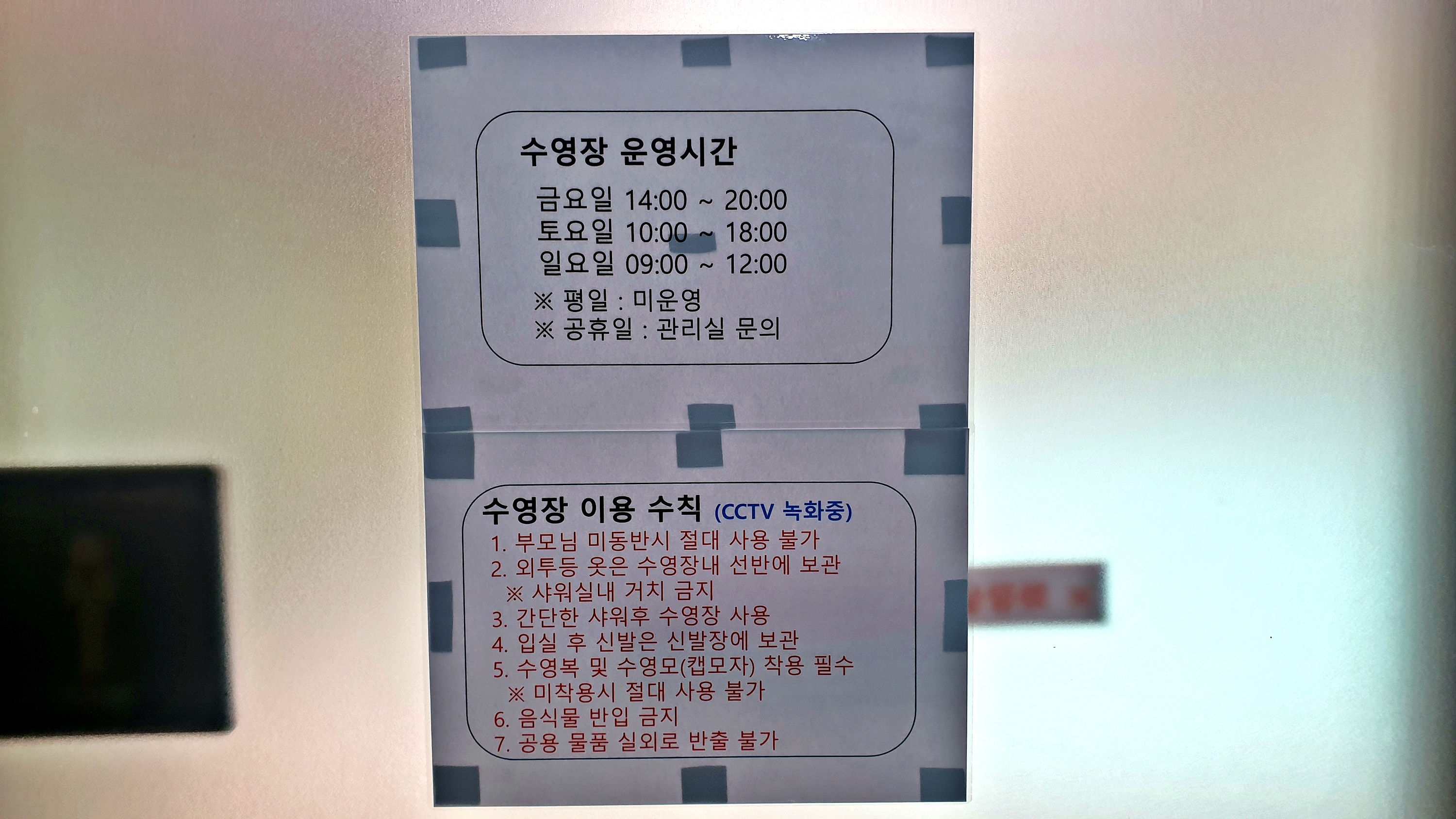 원더 포레스트