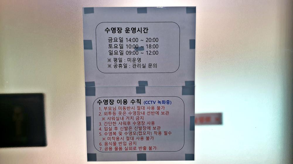 원더 포레스트