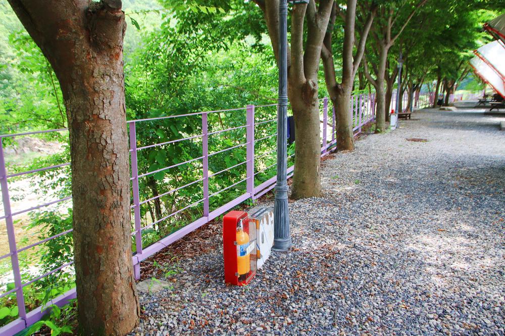 단양 글램핑&펜션