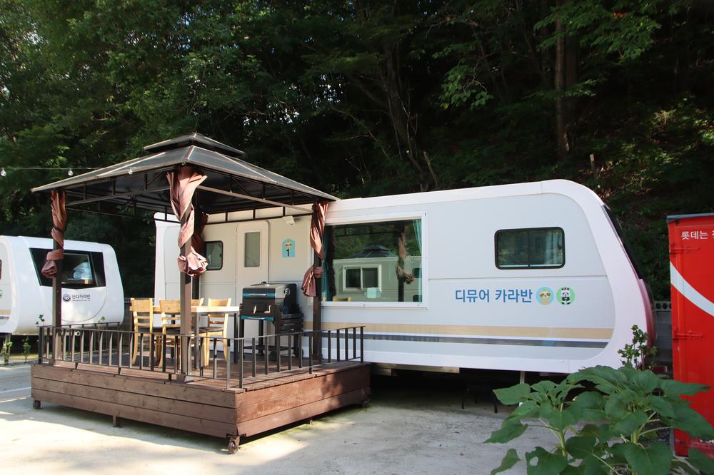 디뮤어 카라반