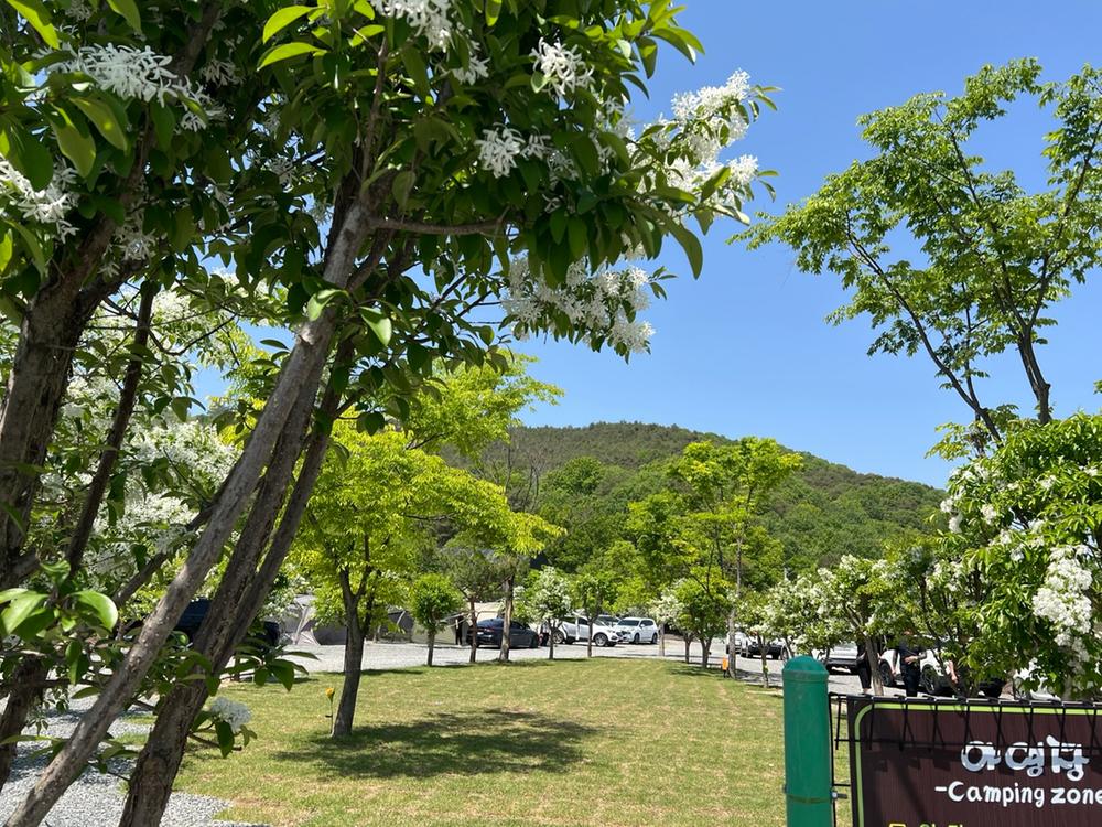 빨래터캠핑장