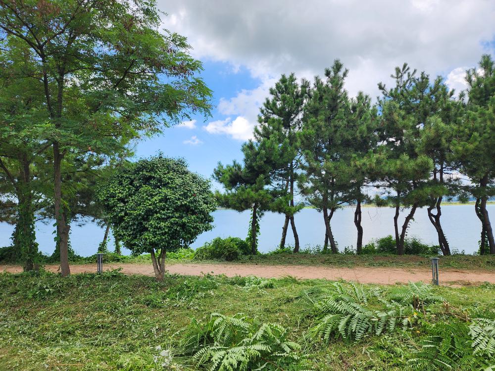 금강호 국민여가 캠핑장