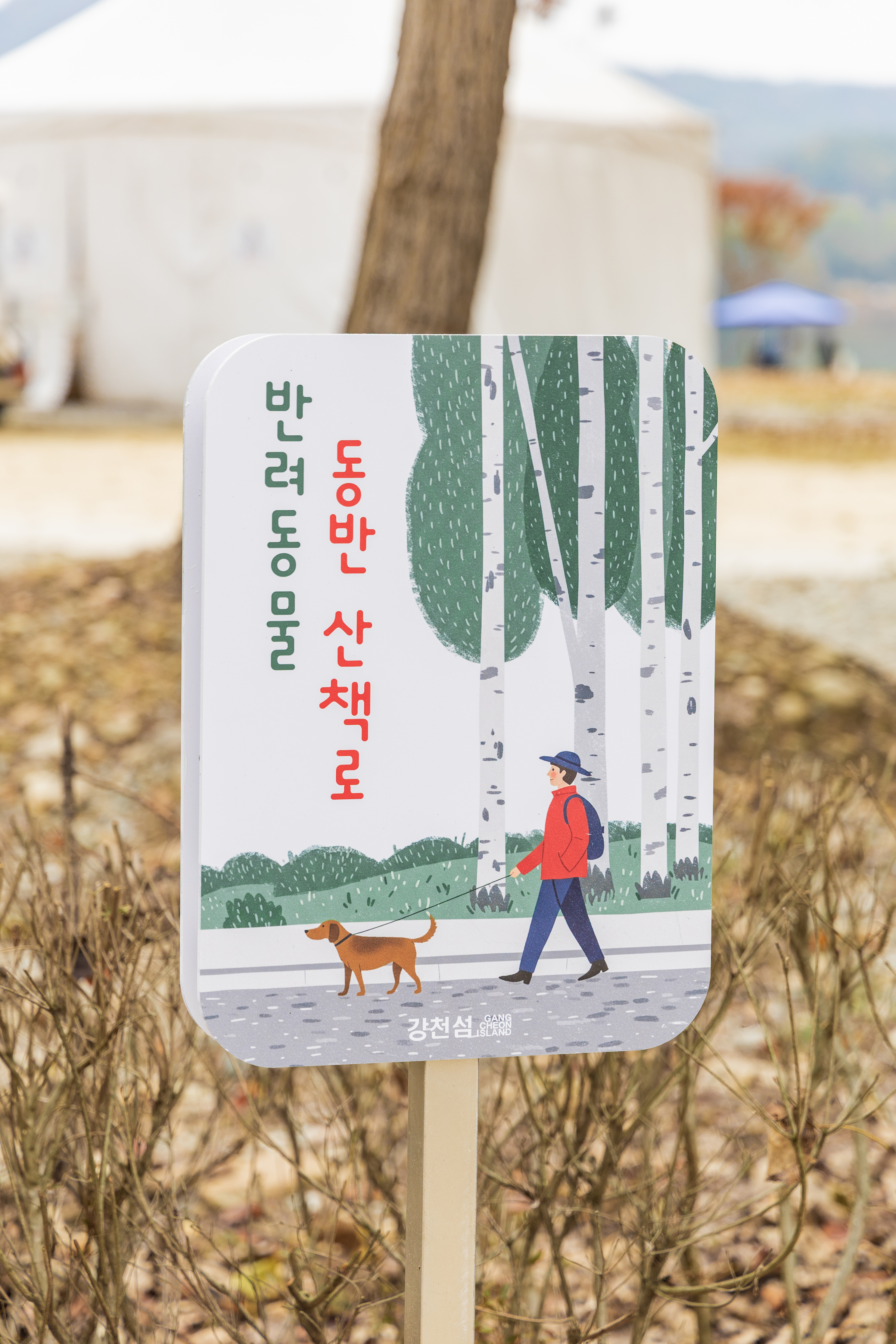 강천섬캠핑장