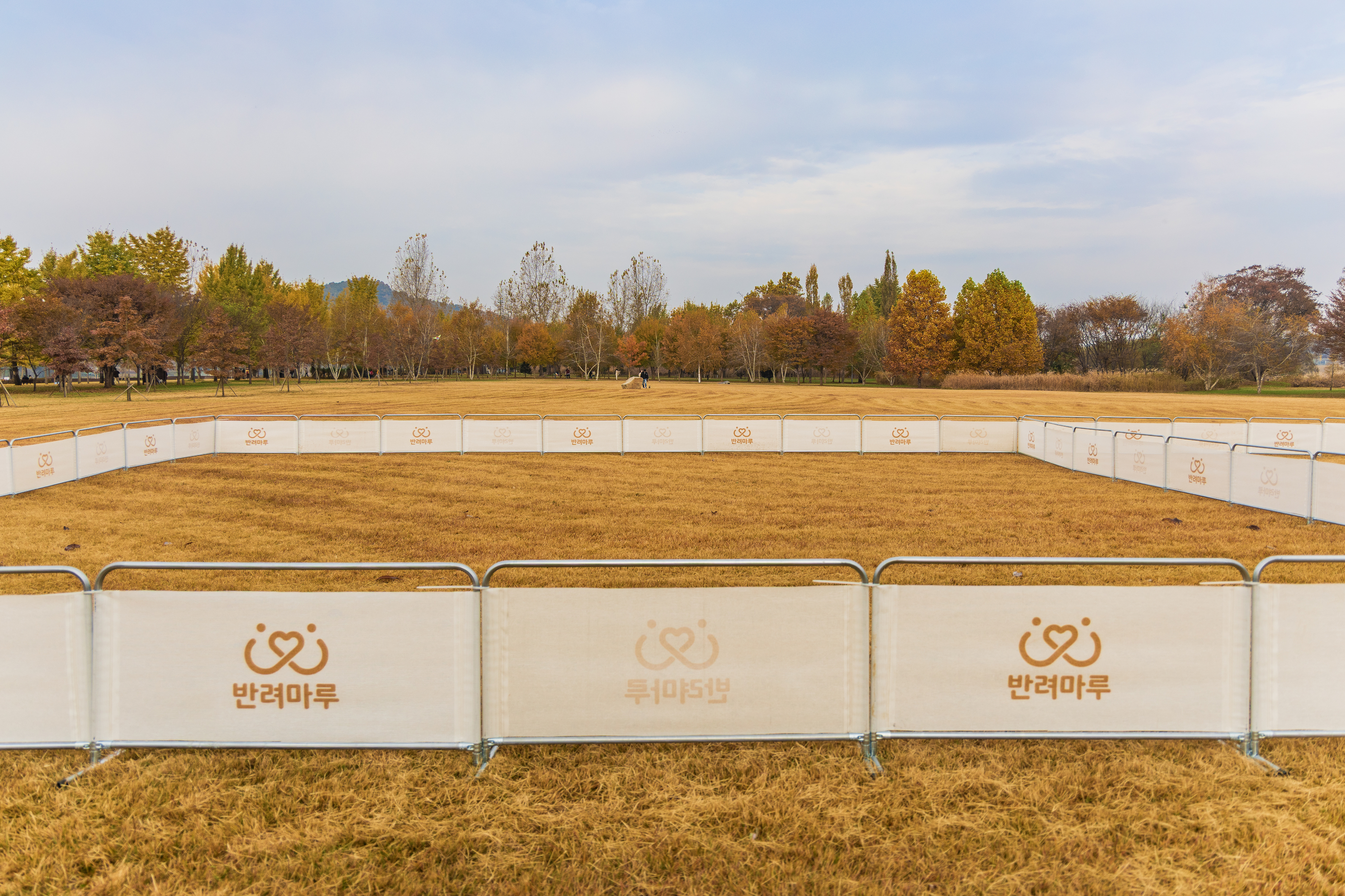 강천섬캠핑장
