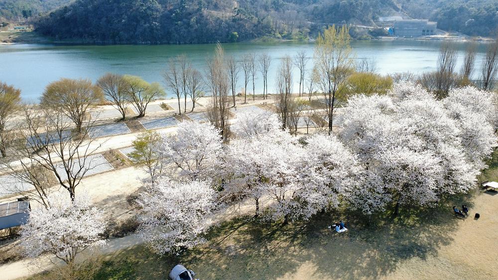 강천섬캠핑장
