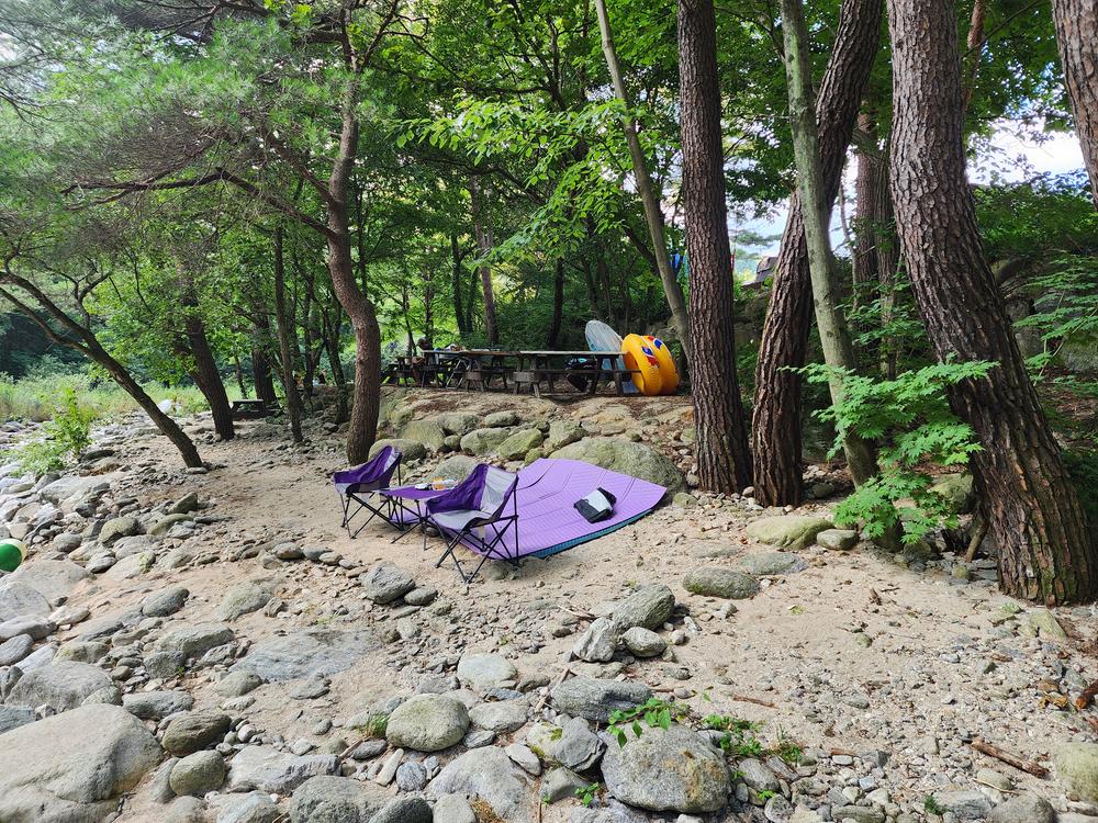 레드우드캠핑장