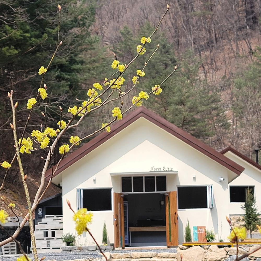 포레 앙비떼