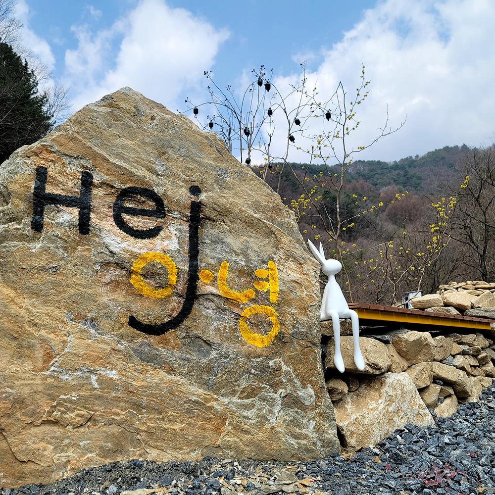 포레 앙비떼