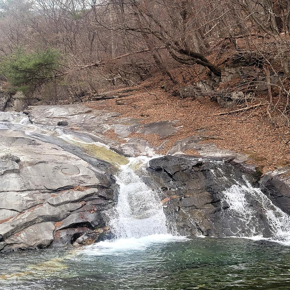 포레 앙비떼