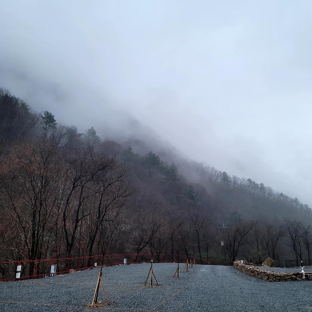 포레 앙비떼