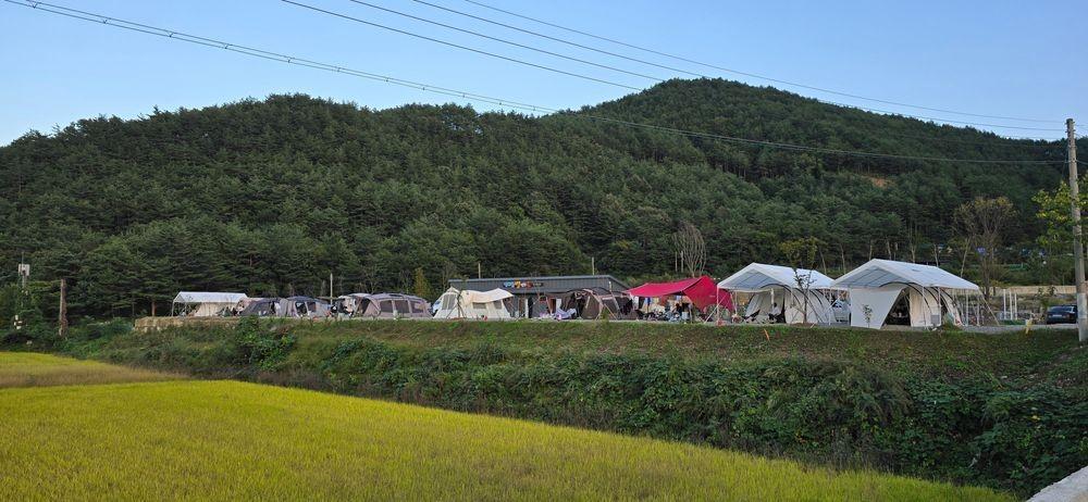 밤하늘별캠프
