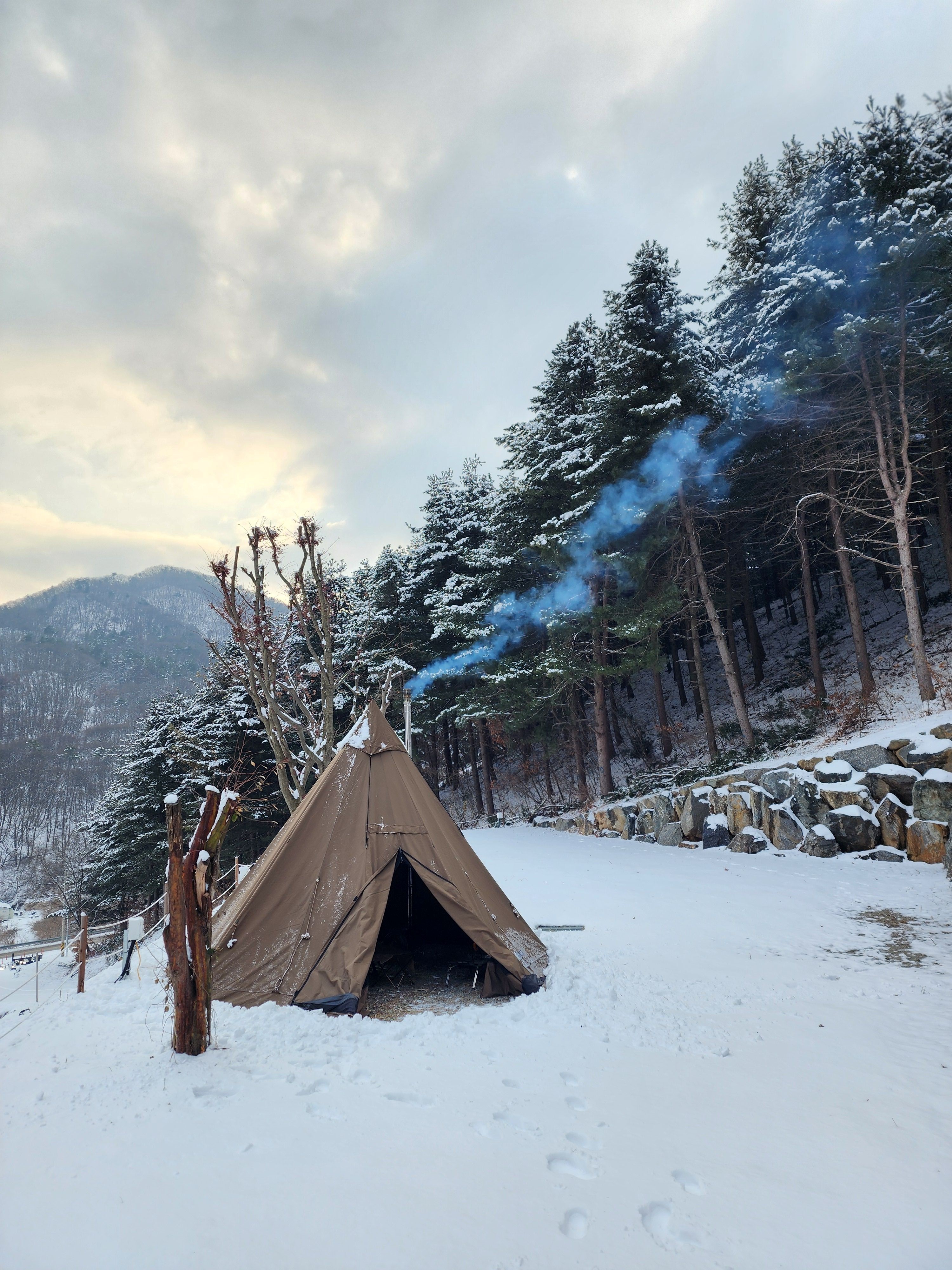 구릉지캠핑장