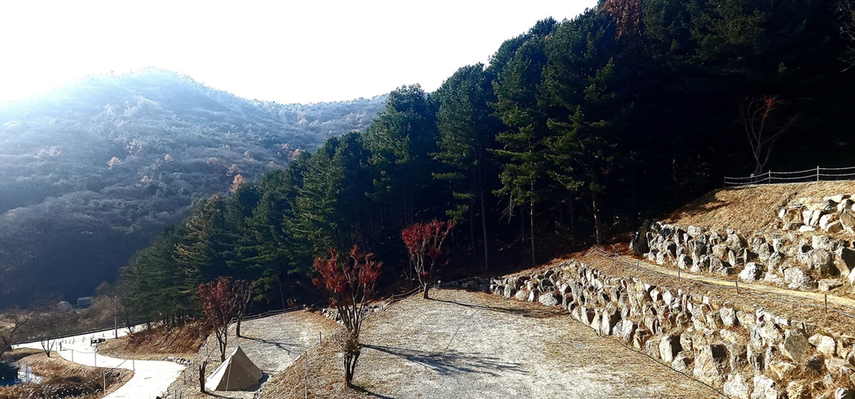 구릉지캠핑장