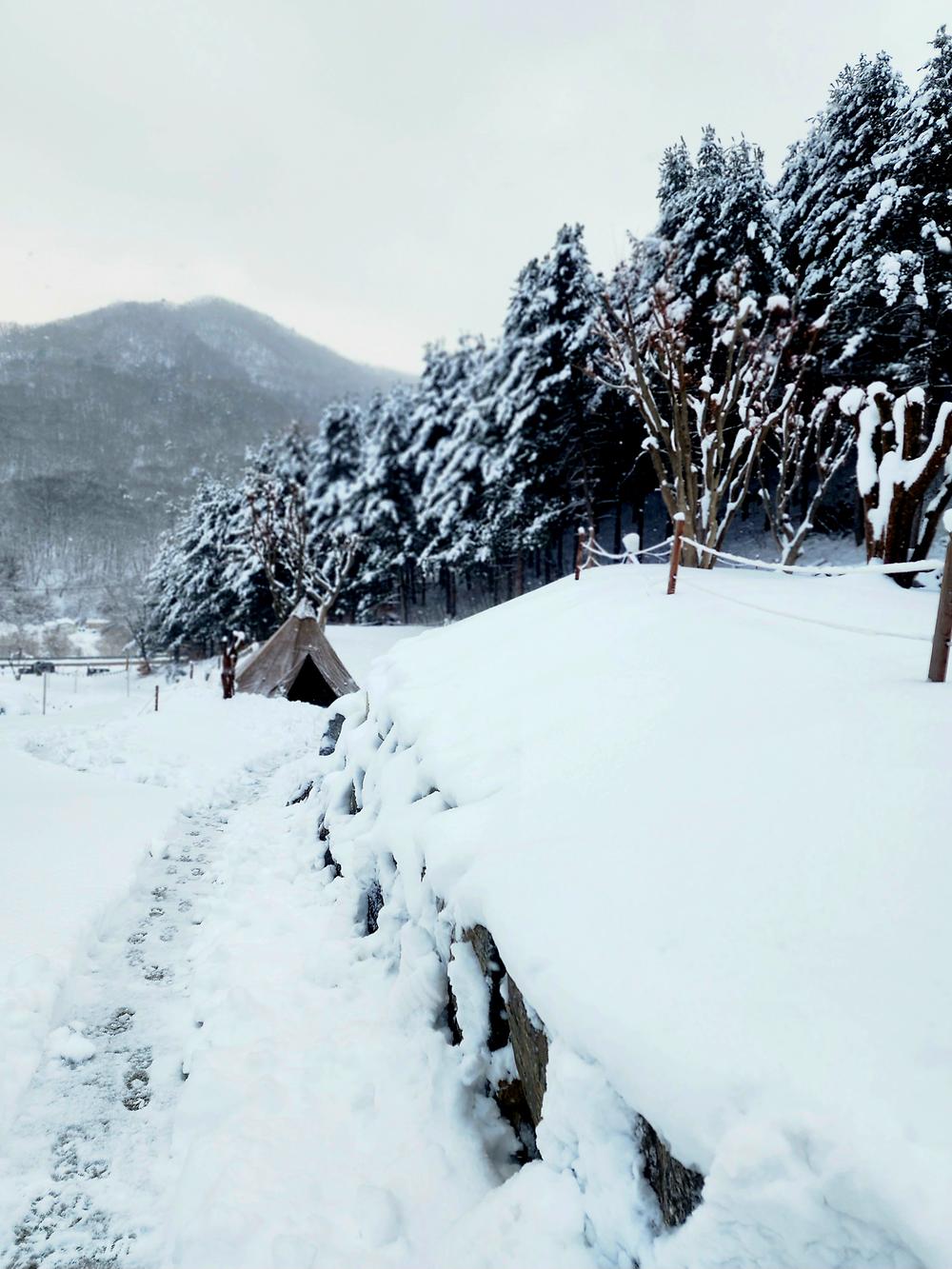 구릉지캠핑장