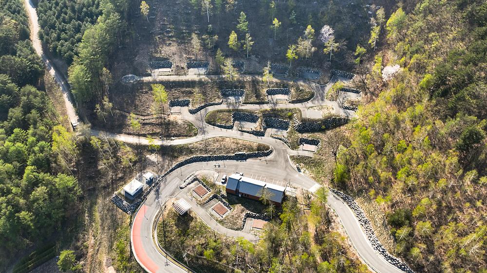매봉산 천상의 숲
