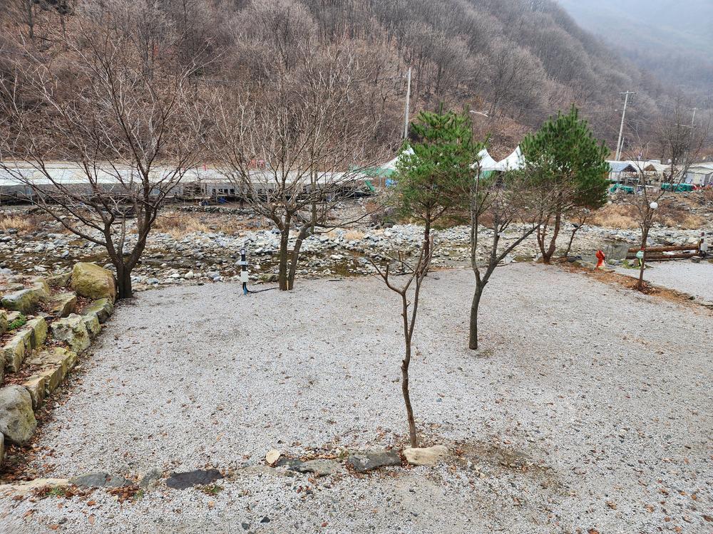 담터 민수 캠핑장