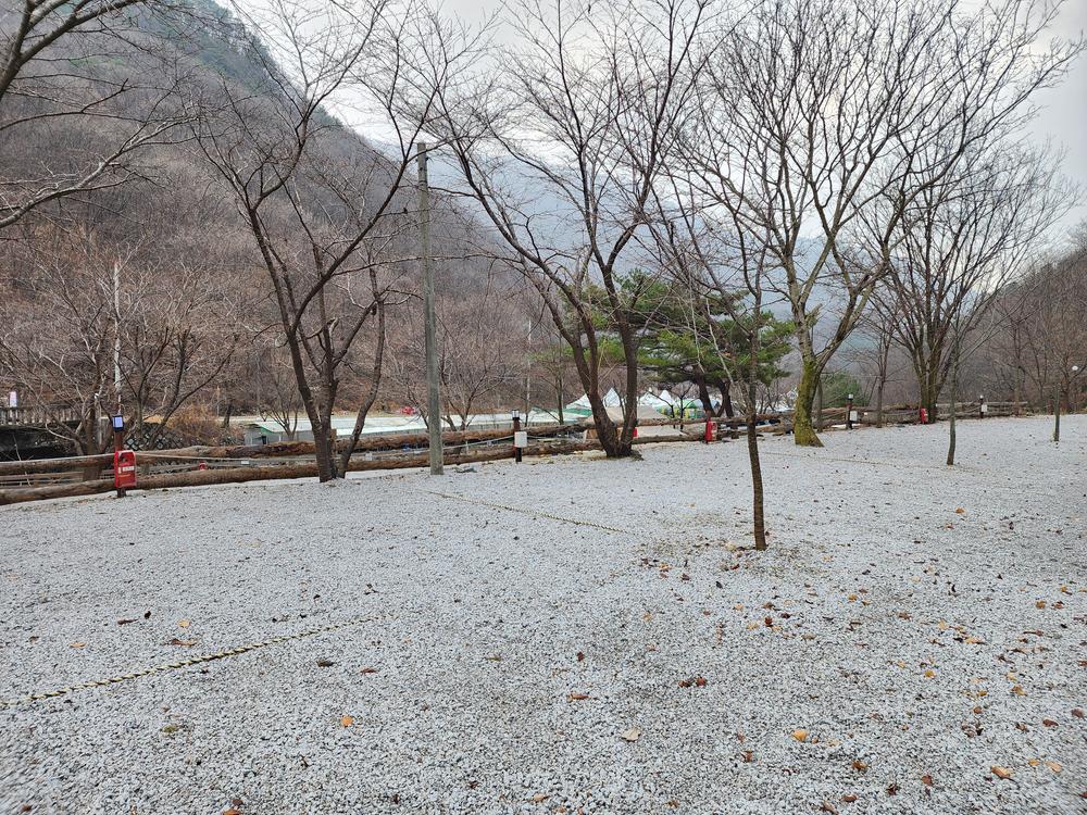 담터 민수 캠핑장