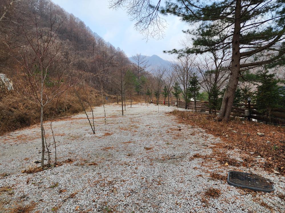 담터 민수 캠핑장