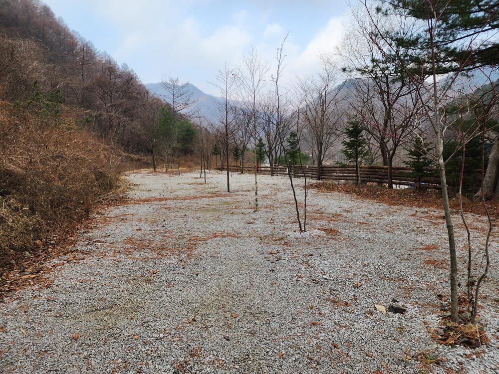 담터 민수 캠핑장