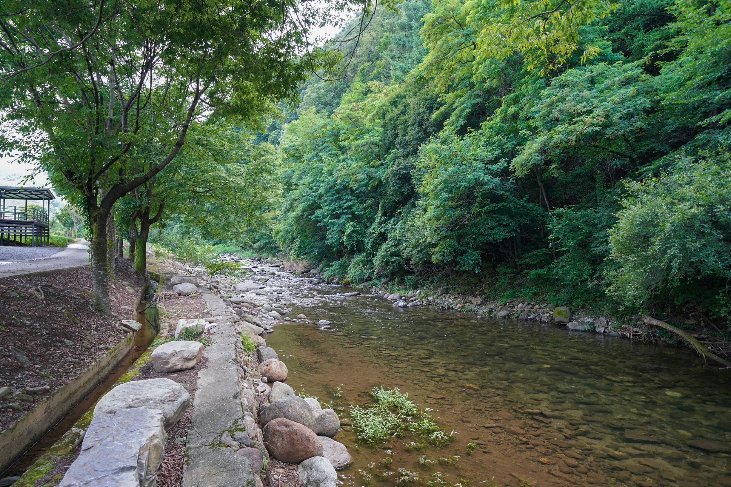 소백산 별빛감성 캠핑장