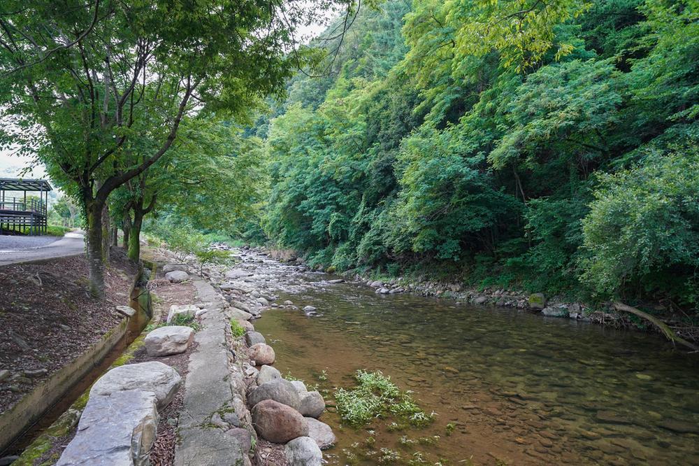 소백산 별빛감성 캠핑장