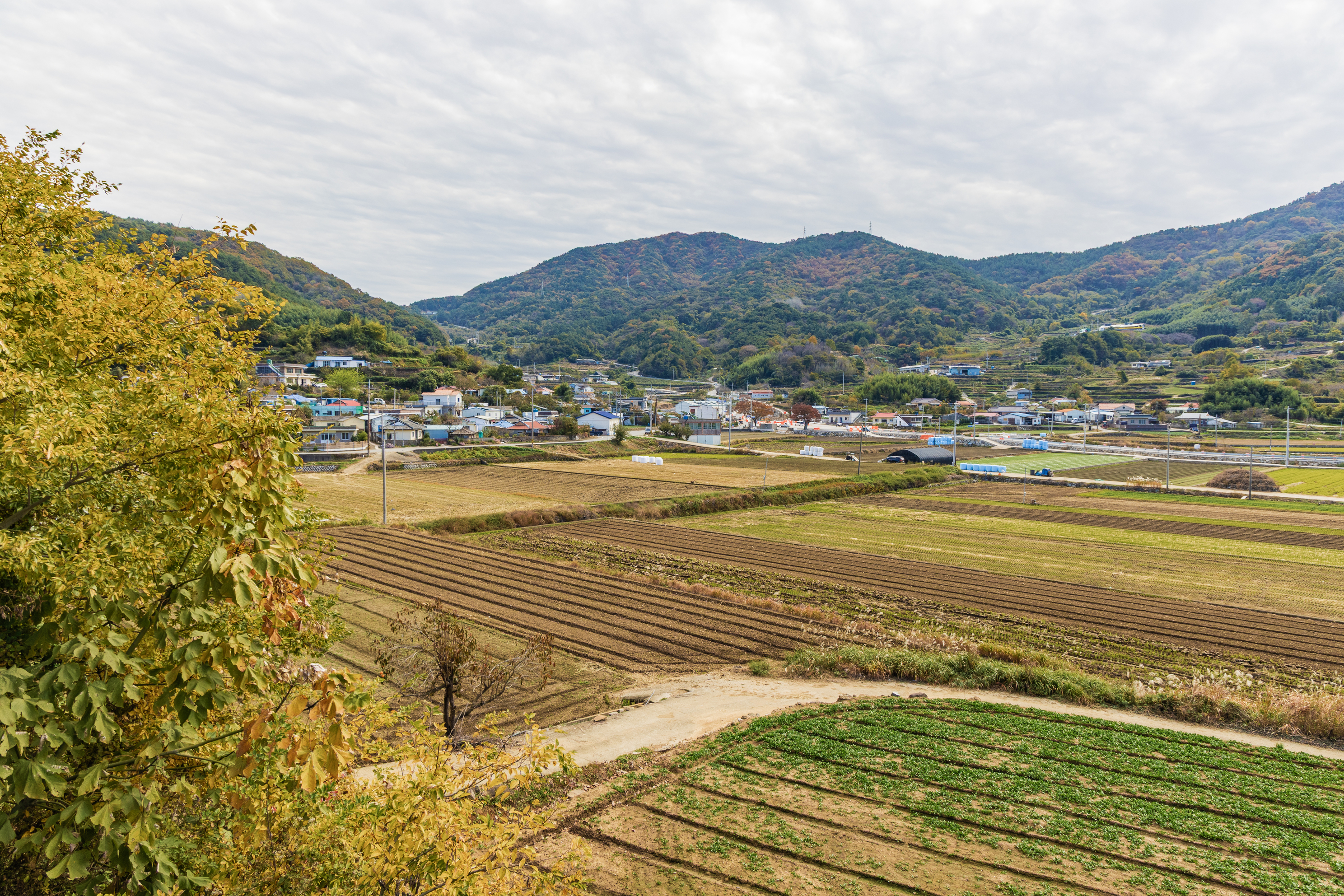 덕신야영장
