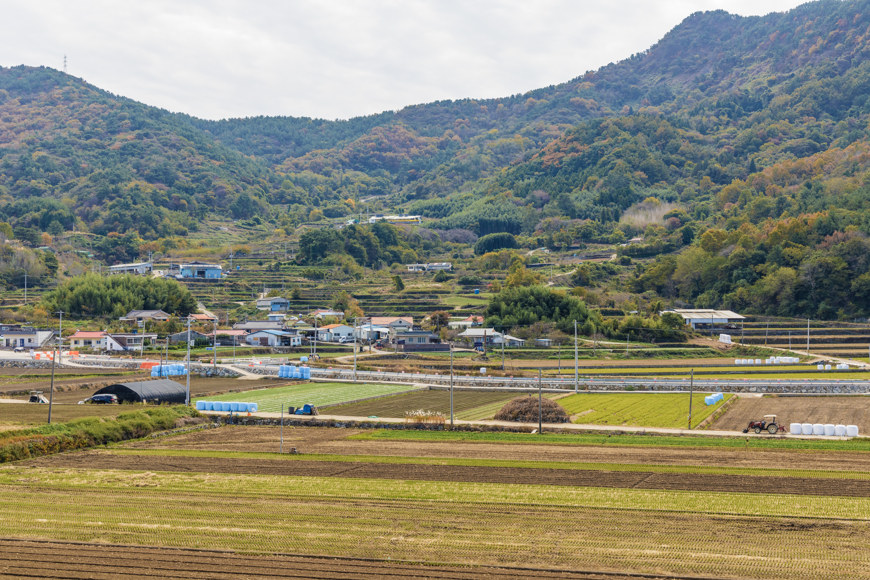 덕신야영장