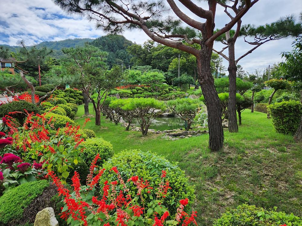 도전캠핑장